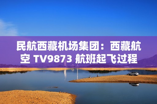 民航西藏机场集团：西藏航空 TV9873 航班起飞过程中遭遇鸟击，无人员受伤、飞机各项参数正常