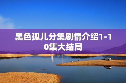 黑色孤儿分集剧情介绍1-10集大结局