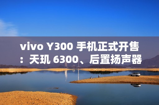 vivo Y300 手机正式开售：天玑 6300、后置扬声器设计，1399 元起