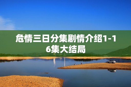 危情三日分集剧情介绍1-16集大结局