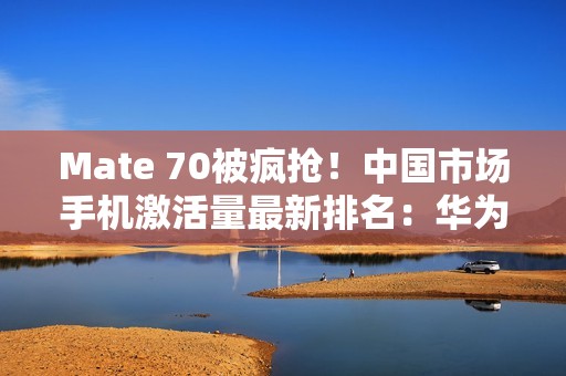 Mate 70被疯抢！中国市场手机激活量最新排名：华为拿下第一