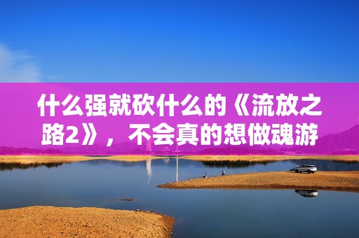 什么强就砍什么的《流放之路2》，不会真的想做魂游吧？