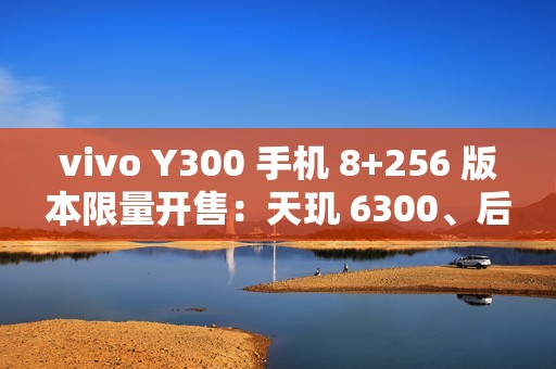 vivo Y300 手机 8+256 版本限量开售：天玑 6300、后置扬声器设计，首发 1499 元