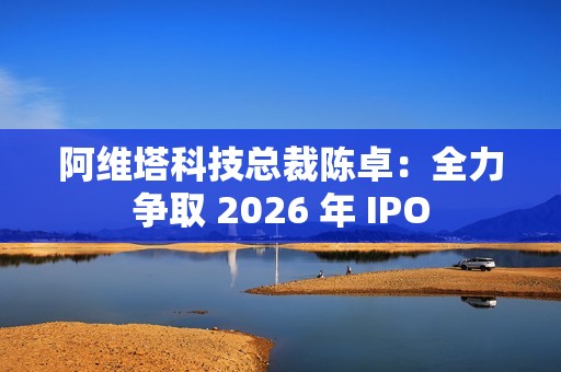 阿维塔科技总裁陈卓：全力争取 2026 年 IPO