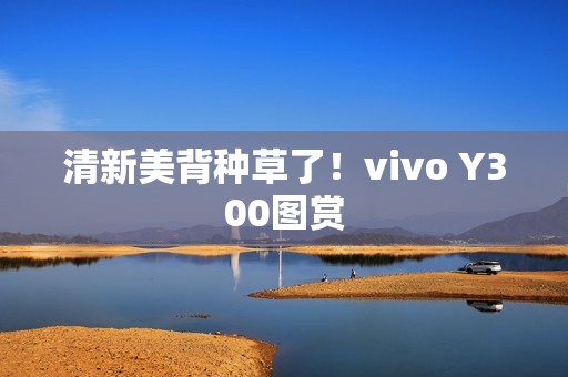 清新美背种草了！vivo Y300图赏