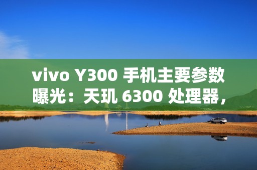 vivo Y300 手机主要参数曝光：天玑 6300 处理器，明日发布