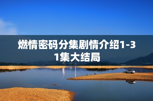 燃情密码分集剧情介绍1-31集大结局