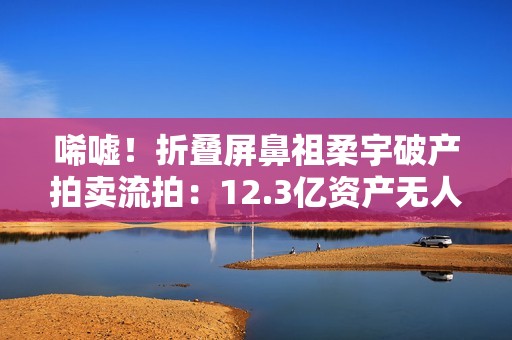唏嘘！折叠屏鼻祖柔宇破产拍卖流拍：12.3亿资产无人问津
