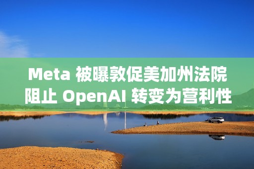Meta 被曝敦促美加州法院阻止 OpenAI 转变为营利性企业，力挺马斯克