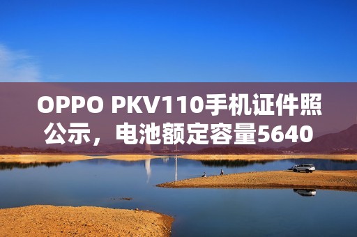 OPPO PKV110手机证件照公示，电池额定容量5640mAh