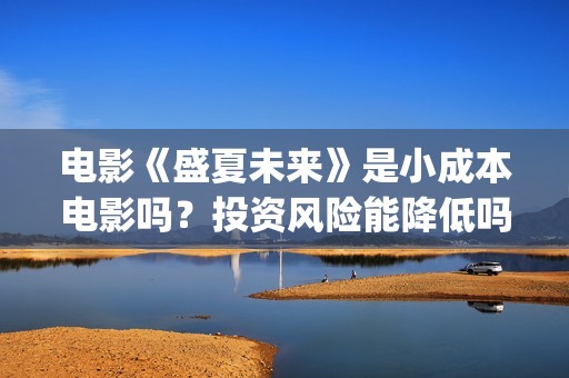 电影《盛夏未来》是小成本电影吗？投资风险能降低吗？(盛夏未来正片)