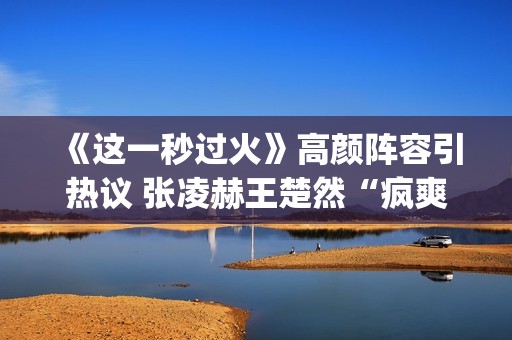 《这一秒过火》高颜阵容引热议 张凌赫王楚然“疯爽”上演极情绝爱(《这一秒过火》在线观看)