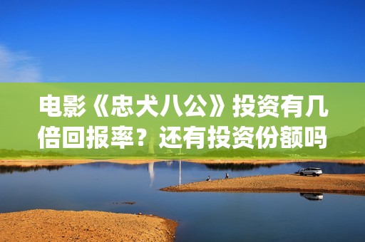 电影《忠犬八公》投资有几倍回报率？还有投资份额吗？(电影《忠犬八公》免费的)