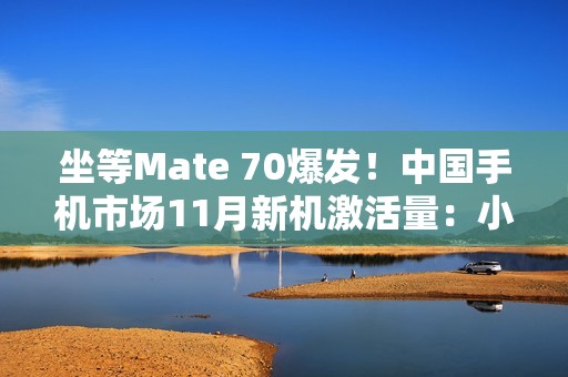 坐等Mate 70爆发！中国手机市场11月新机激活量：小米力压华为、苹果第一