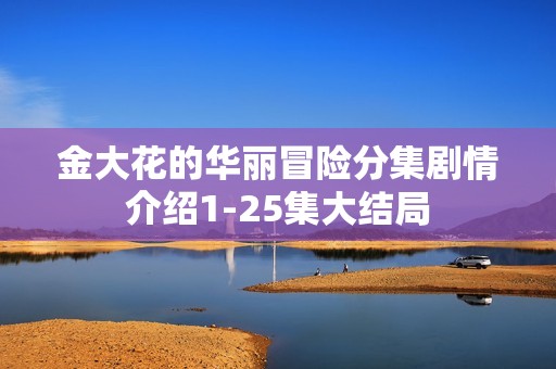 金大花的华丽冒险分集剧情介绍1-25集大结局