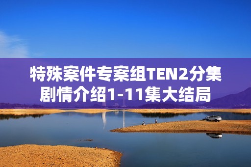 特殊案件专案组TEN2分集剧情介绍1-11集大结局