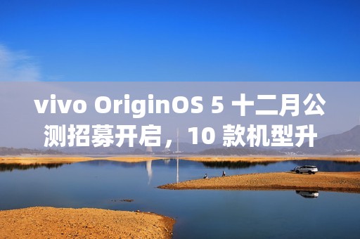 vivo OriginOS 5 十二月公测招募开启，10 款机型升级尝鲜