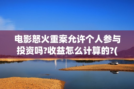 电影怒火重案允许个人参与投资吗?收益怎么计算的?(《怒火 重案》)
