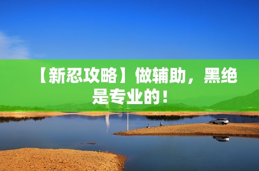 【新忍攻略】做辅助，黑绝是专业的！