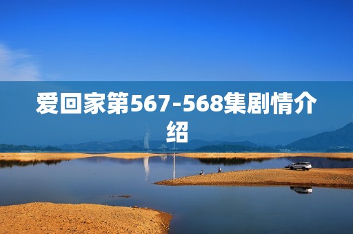 爱回家第567-568集剧情介绍