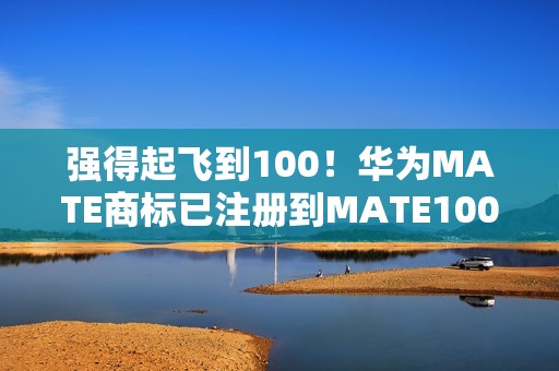 强得起飞到100！华为MATE商标已注册到MATE100