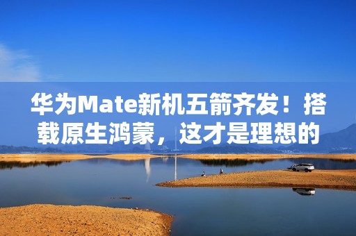 华为Mate新机五箭齐发！搭载原生鸿蒙，这才是理想的AI手机？