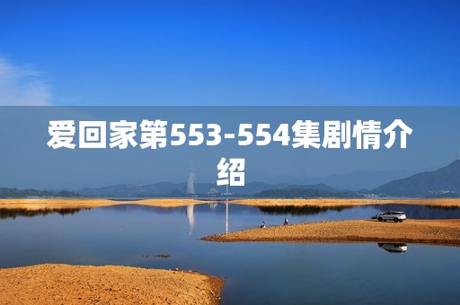 爱回家第553-554集剧情介绍