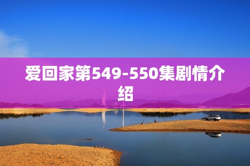 爱回家第549-550集剧情介绍