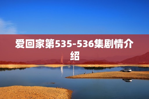 爱回家第535-536集剧情介绍