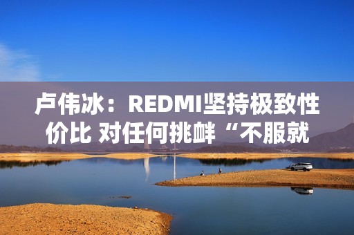 卢伟冰：REDMI坚持极致性价比 对任何挑衅“不服就干”