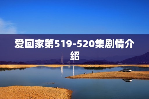 爱回家第519-520集剧情介绍