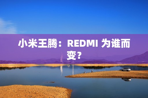 小米王腾：REDMI 为谁而变？