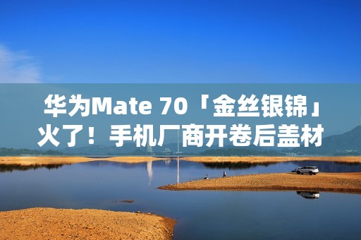 华为Mate 70「金丝银锦」火了！手机厂商开卷后盖材质