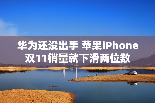 华为还没出手 苹果iPhone双11销量就下滑两位数