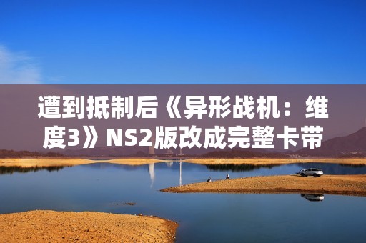 遭到抵制后《异形战机：维度3》NS2版改成完整卡带