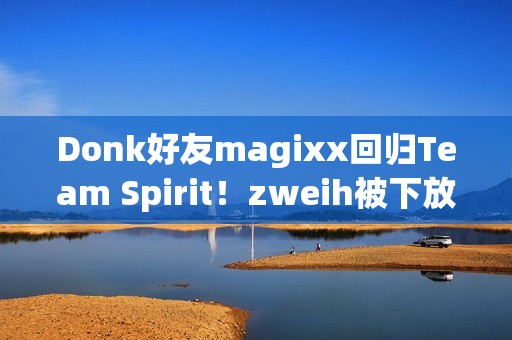 Donk好友magixx回归Team Spirit！zweih被下放至替补