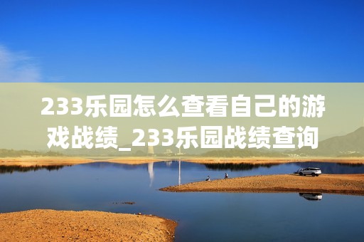 233乐园怎么查看自己的游戏战绩_233乐园战绩查询详细步骤【指引】