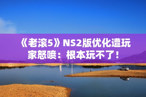 《老滚5》NS2版优化遭玩家怒喷：根本玩不了！