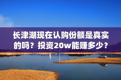 长津湖现在认购份额是真实的吗？投资20w能赚多少？(长津湖预售破亿)
