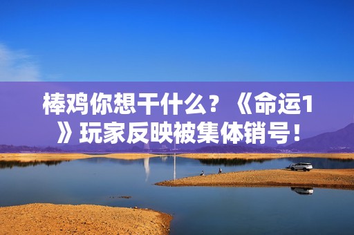 棒鸡你想干什么？《命运1》玩家反映被集体销号！