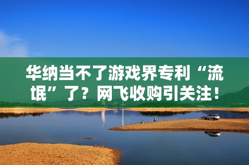 华纳当不了游戏界专利“流氓”了？网飞收购引关注！