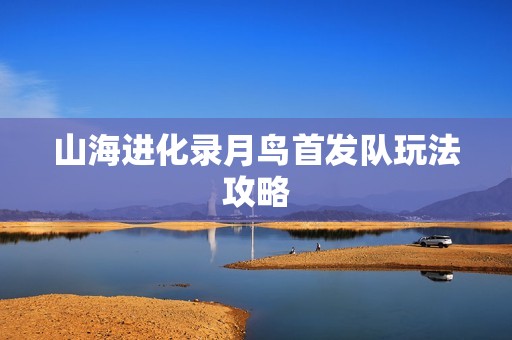 山海进化录月鸟首发队玩法攻略