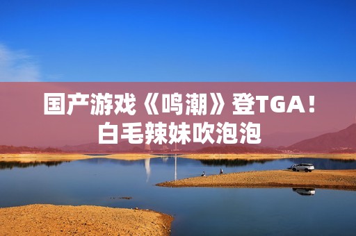 国产游戏《鸣潮》登TGA！白毛辣妹吹泡泡