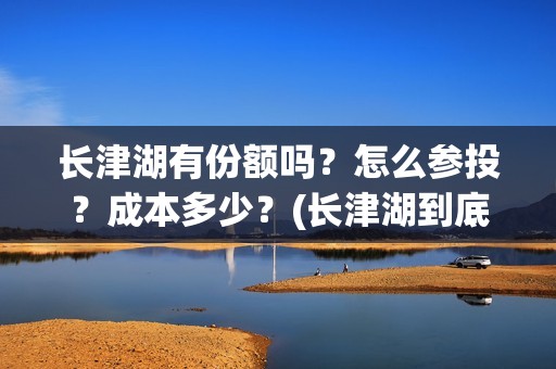 长津湖有份额吗？怎么参投？成本多少？(长津湖到底)