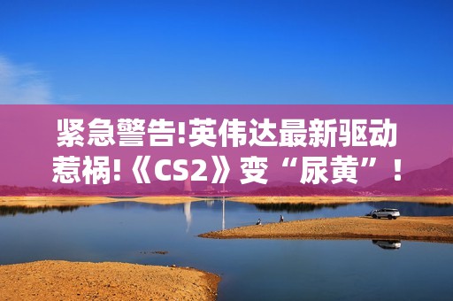 紧急警告!英伟达最新驱动惹祸!《CS2》变“尿黄”！