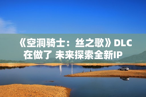 《空洞骑士：丝之歌》DLC在做了 未来探索全新IP