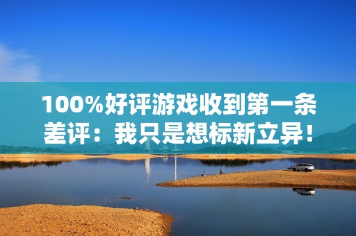 100%好评游戏收到第一条差评：我只是想标新立异！
