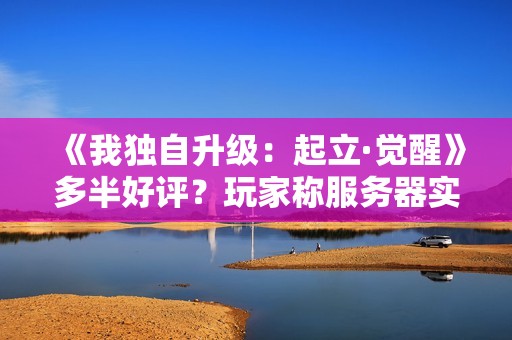 《我独自升级：起立·觉醒》多半好评？玩家称服务器实在太烂