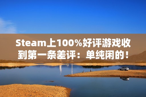 Steam上100%好评游戏收到第一条差评：单纯闲的！