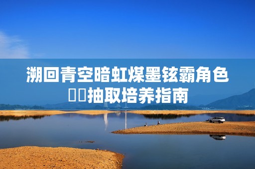 溯回青空暗虹煤墨铉霸角色​​抽取培养指南